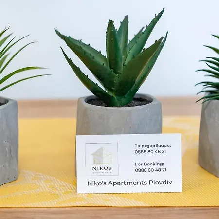 Niko's Cozy * Plovdiv